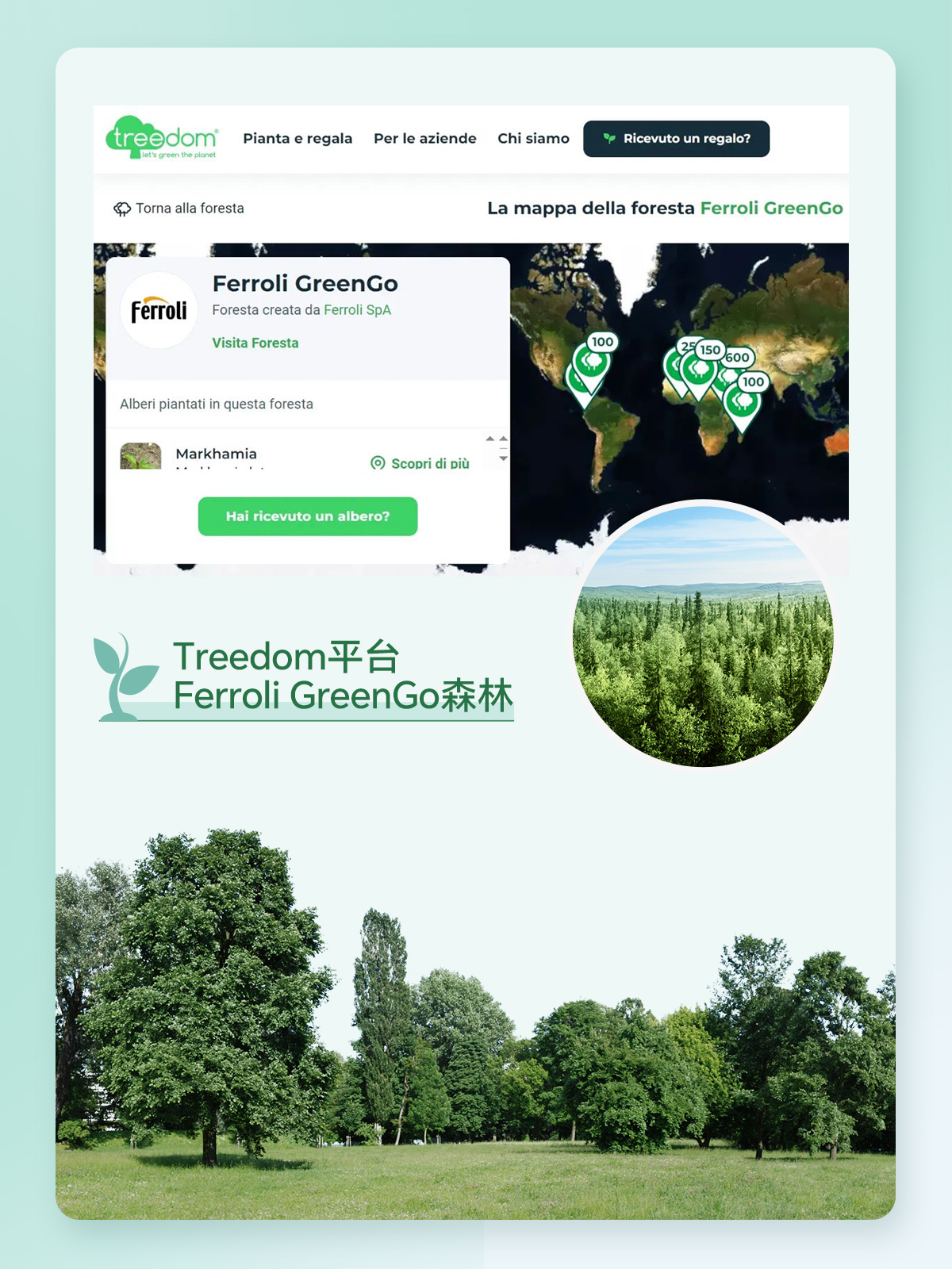 维多利亚老品牌vic(中国集团)官方网站